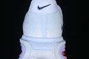 Nike Vomero Premium Blue Tint